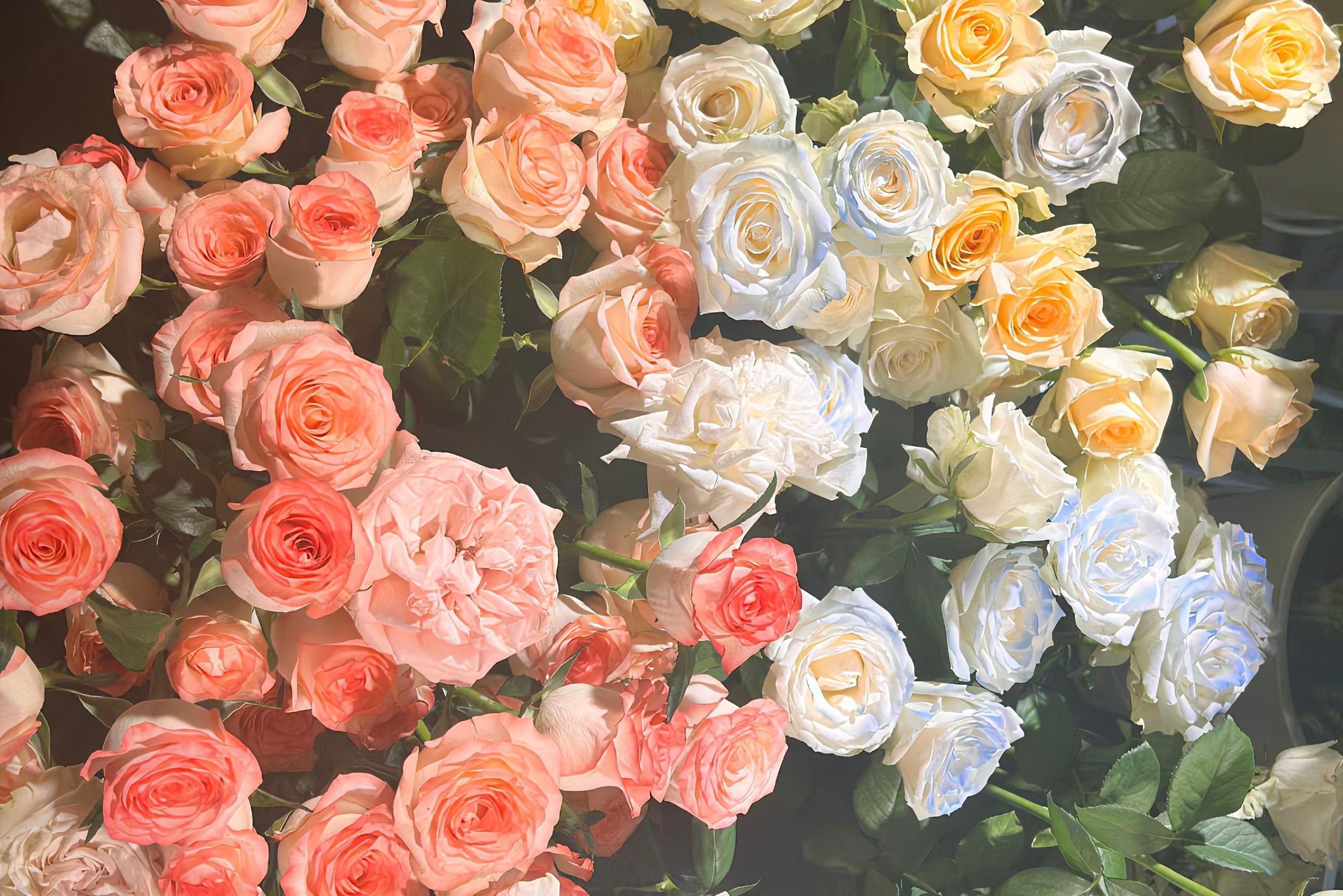 ipad平板壁纸|ipad|壁纸|平板_新浪新闻