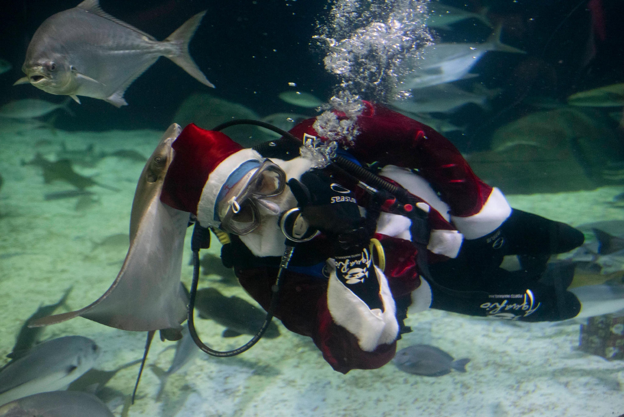 （外代二线）水中的“圣诞老人”休闲区蓝鸢梦想 - Www.slyday.coM