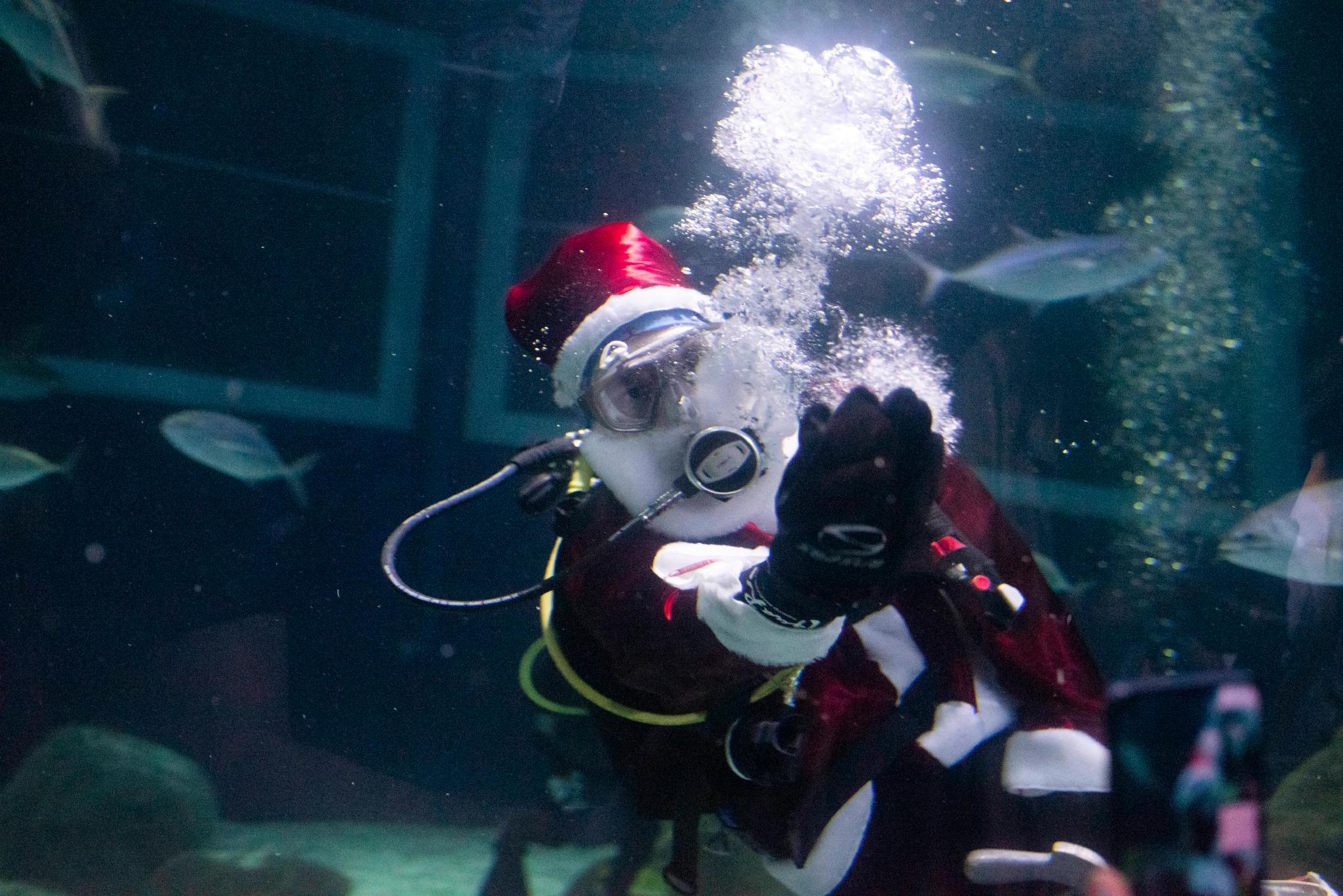 （外代二线）水中的“圣诞老人”休闲区蓝鸢梦想 - Www.slyday.coM