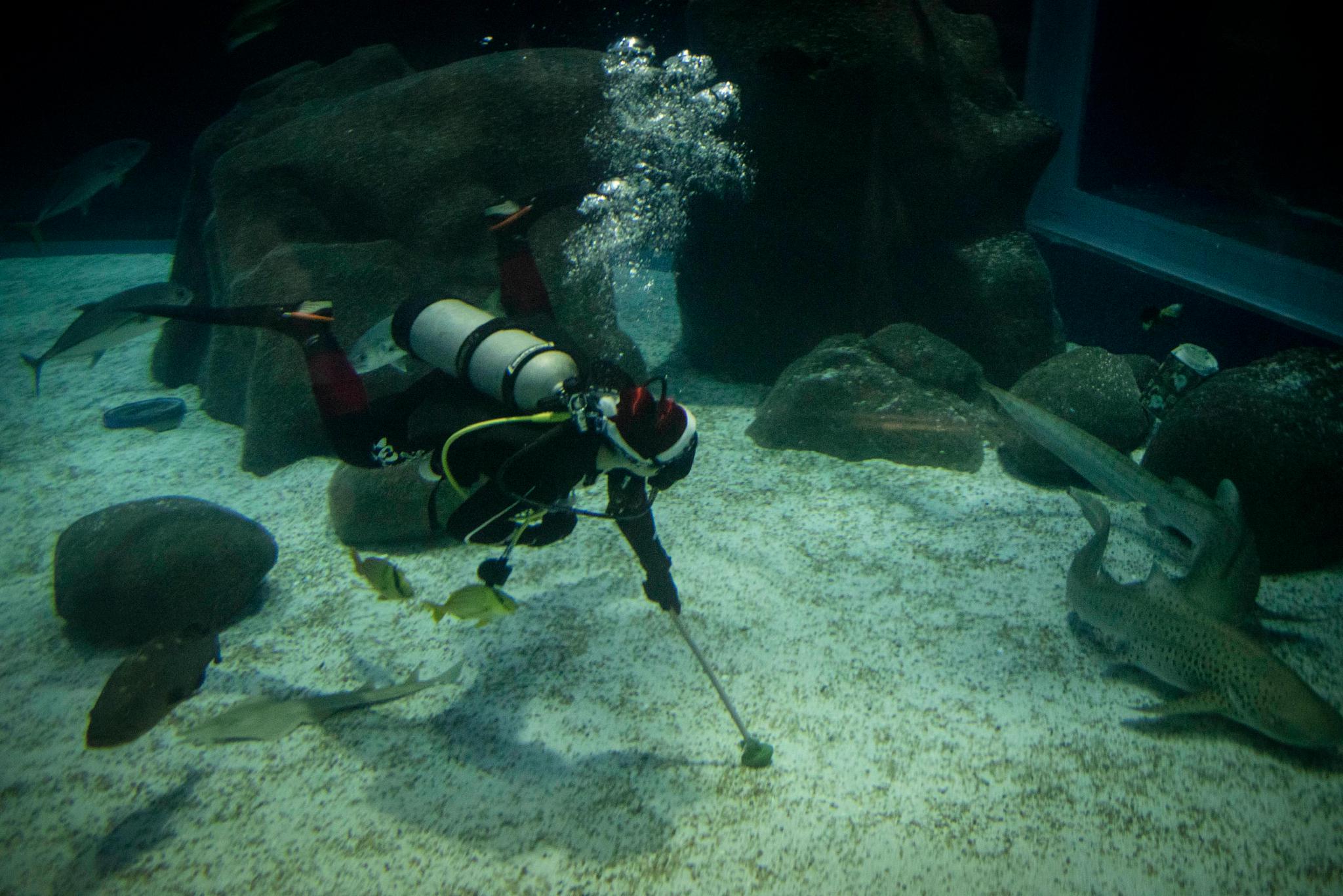 （外代二线）水中的“圣诞老人”休闲区蓝鸢梦想 - Www.slyday.coM