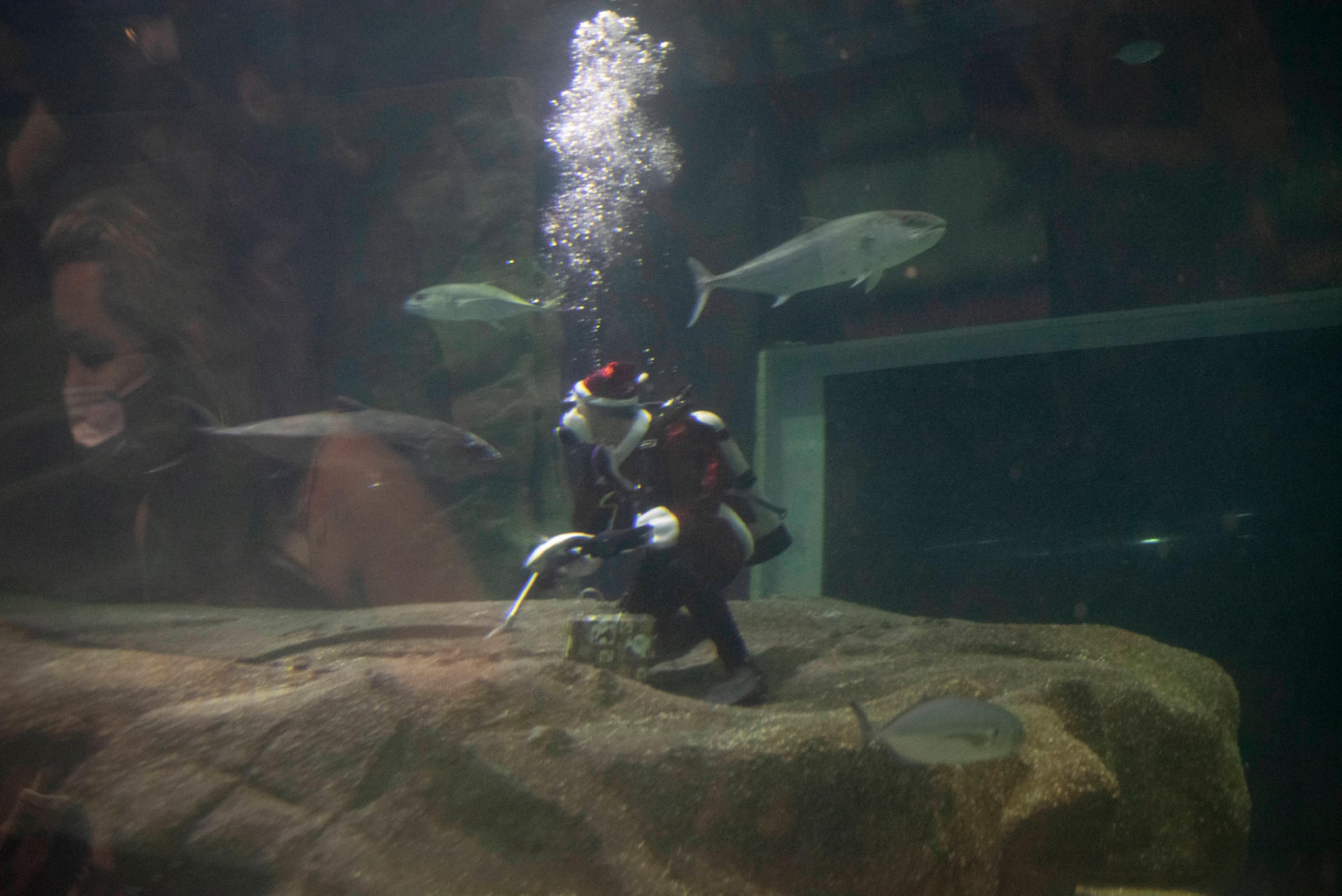 （外代二线）水中的“圣诞老人”休闲区蓝鸢梦想 - Www.slyday.coM