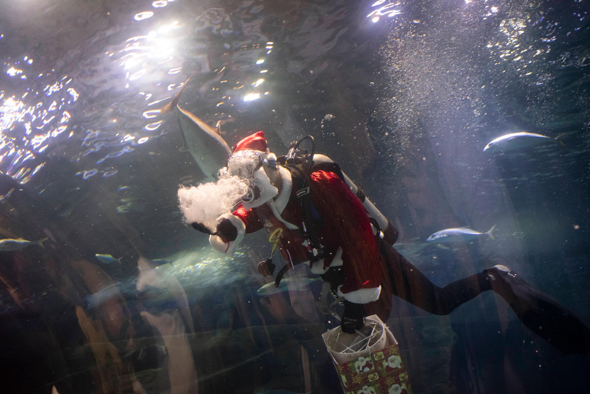 （外代二线）水中的“圣诞老人”休闲区蓝鸢梦想 - Www.slyday.coM