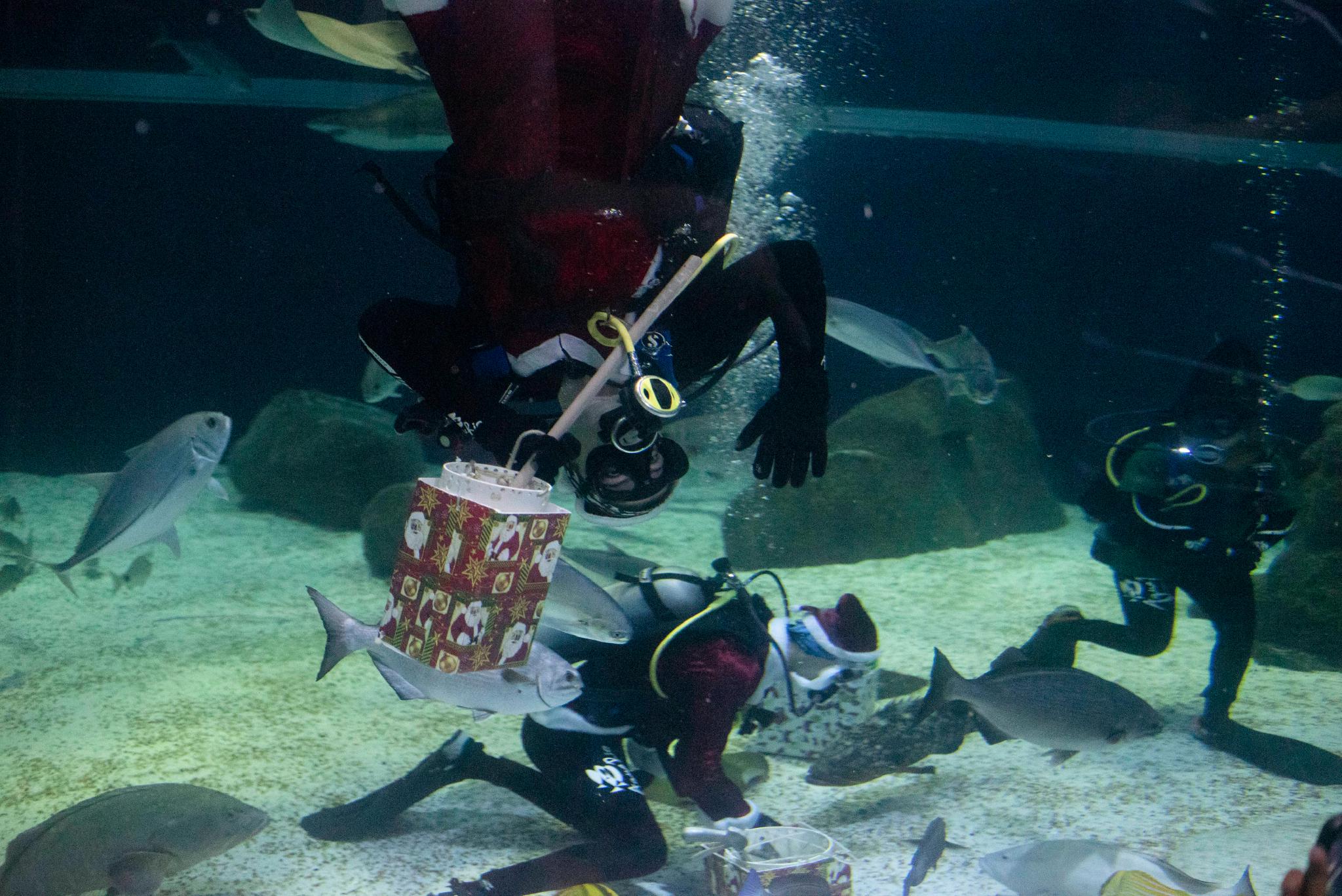 （外代二线）水中的“圣诞老人”休闲区蓝鸢梦想 - Www.slyday.coM