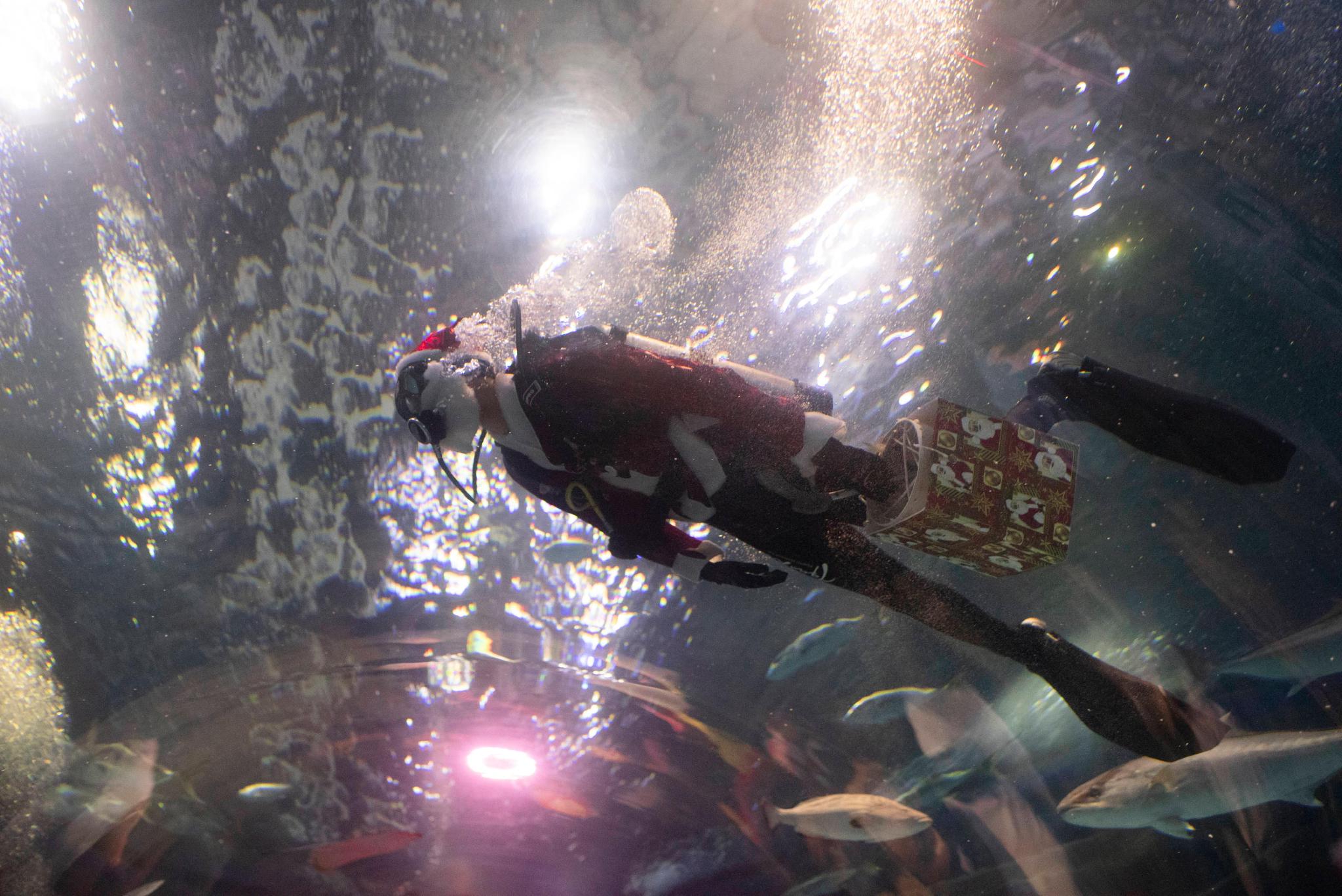 （外代二线）水中的“圣诞老人”休闲区蓝鸢梦想 - Www.slyday.coM