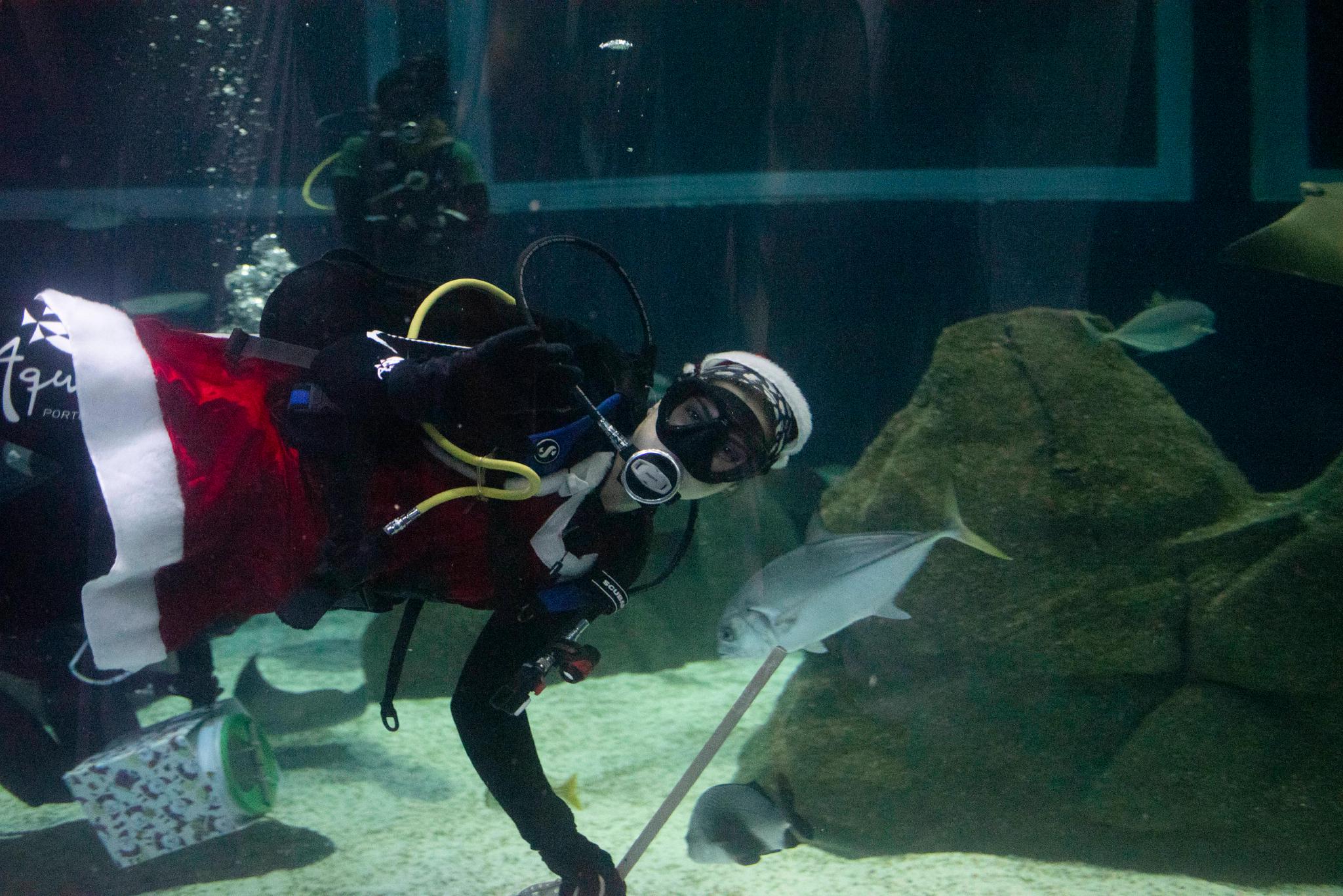 （外代二线）水中的“圣诞老人”休闲区蓝鸢梦想 - Www.slyday.coM