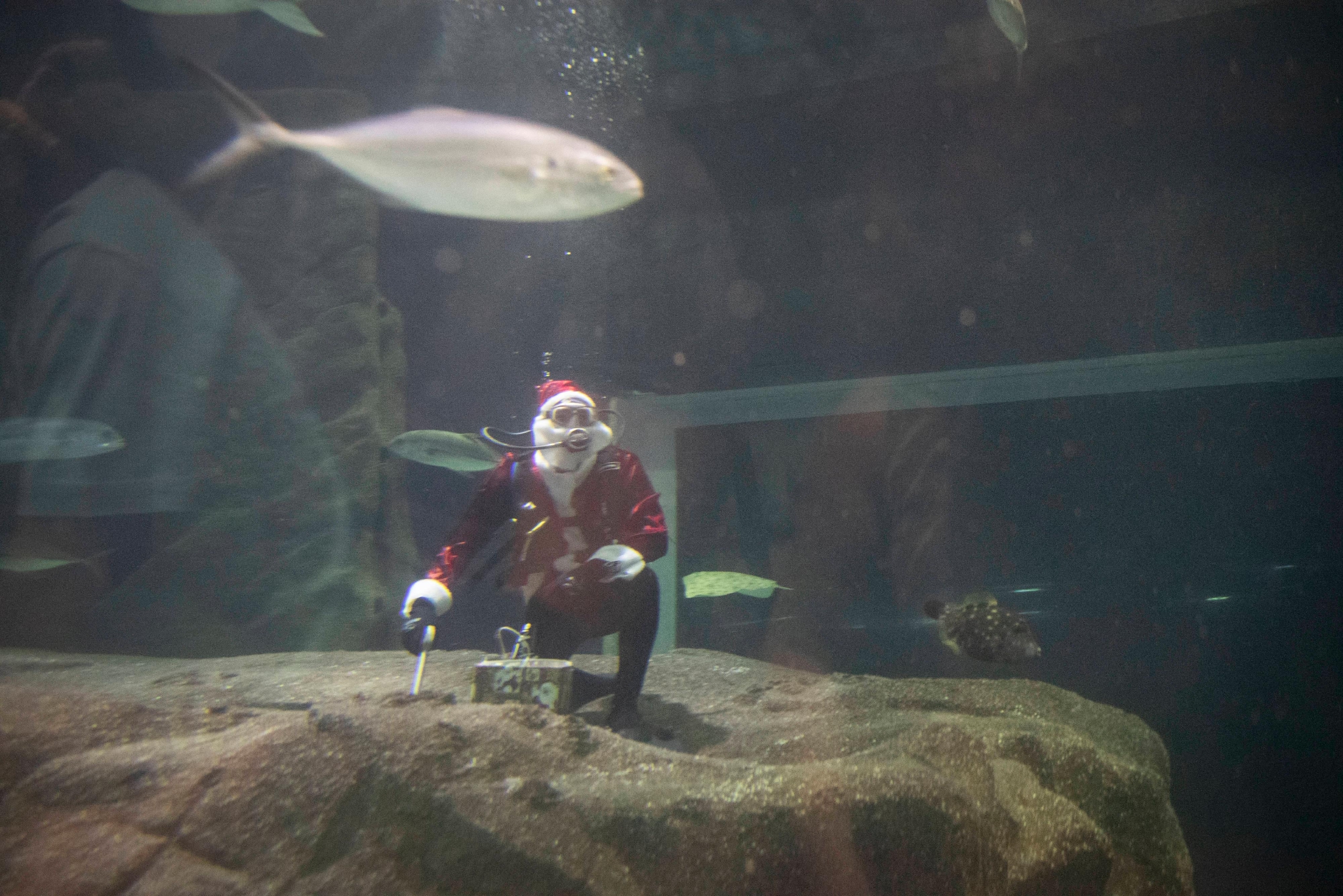 （外代二线）水中的“圣诞老人”休闲区蓝鸢梦想 - Www.slyday.coM