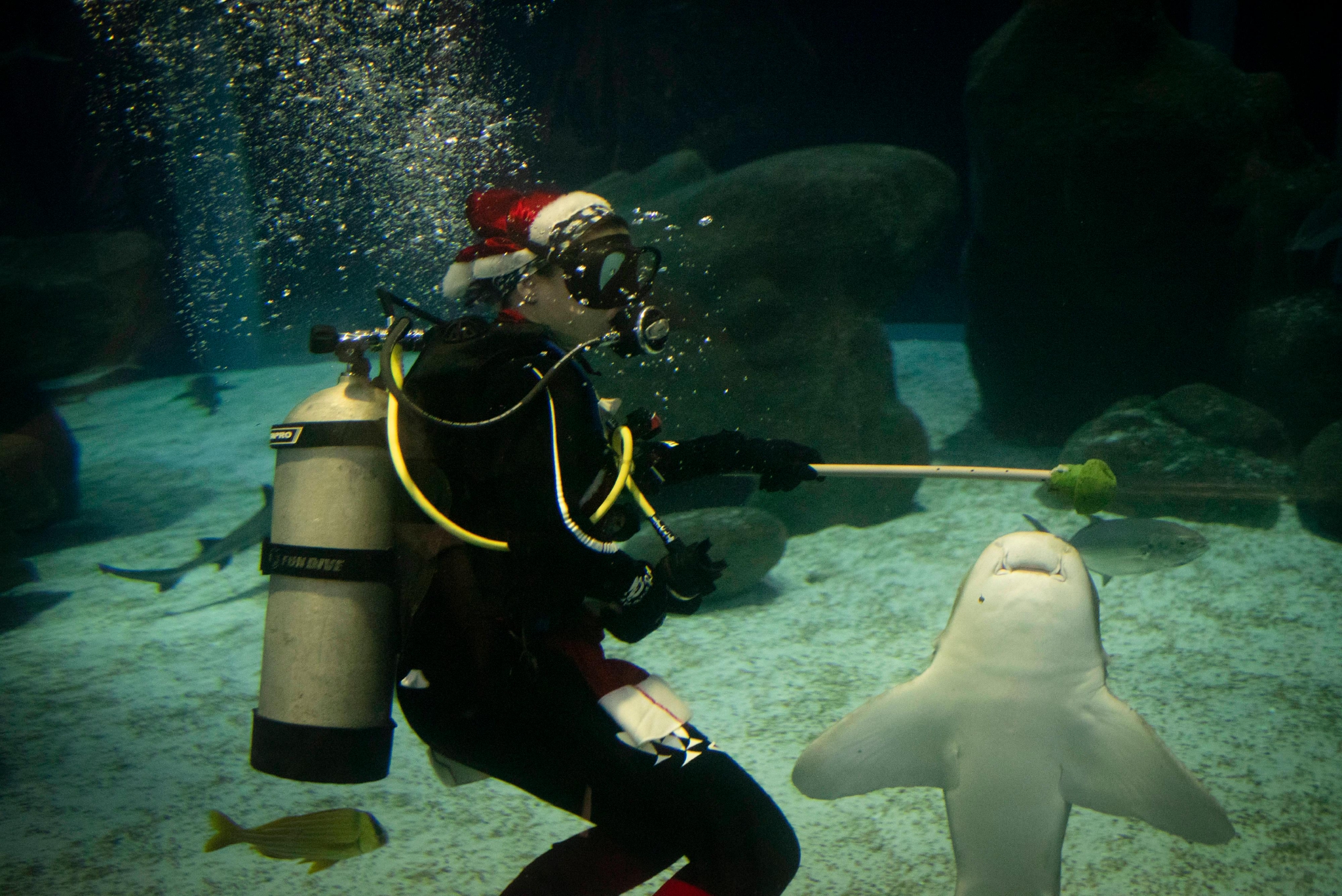 （外代二线）水中的“圣诞老人”休闲区蓝鸢梦想 - Www.slyday.coM