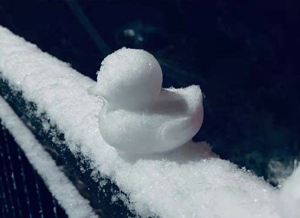 随手一拍都是大片！你的朋友圈办摄影大赛了吗～雪后出行要注意休闲区蓝鸢梦想 - Www.slyday.coM