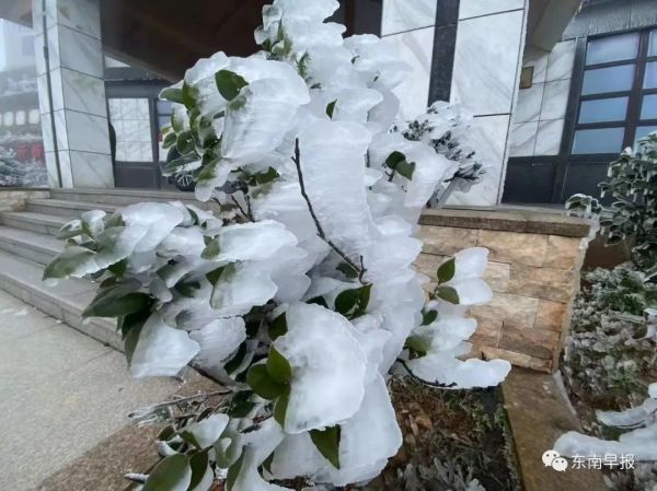 刚刚！泉州下雪了！休闲区蓝鸢梦想 - Www.slyday.coM