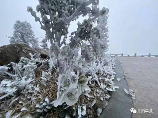 刚刚！泉州下雪了！休闲区蓝鸢梦想 - Www.slyday.coM