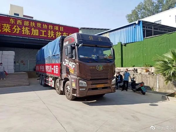 我们来啦！大白菜、牛奶……全国多地驰援上海，满满感动！休闲区蓝鸢梦想 - Www.slyday.coM