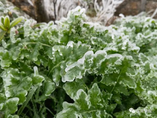 刚刚！泉州下雪了！休闲区蓝鸢梦想 - Www.slyday.coM