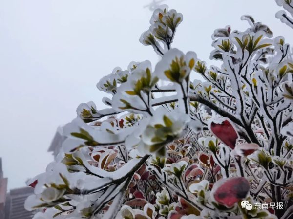 刚刚！泉州下雪了！休闲区蓝鸢梦想 - Www.slyday.coM