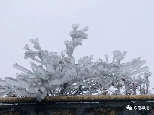 刚刚！泉州下雪了！休闲区蓝鸢梦想 - Www.slyday.coM