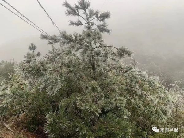 刚刚！泉州下雪了！休闲区蓝鸢梦想 - Www.slyday.coM