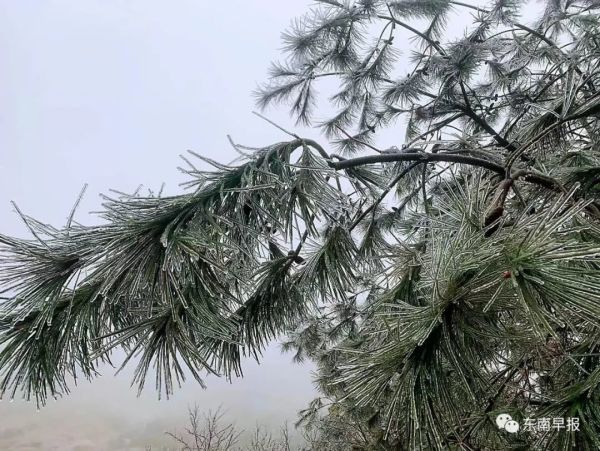刚刚！泉州下雪了！休闲区蓝鸢梦想 - Www.slyday.coM