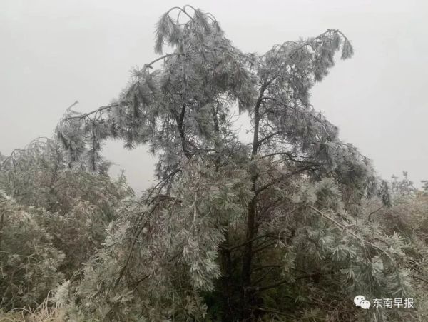 刚刚！泉州下雪了！休闲区蓝鸢梦想 - Www.slyday.coM