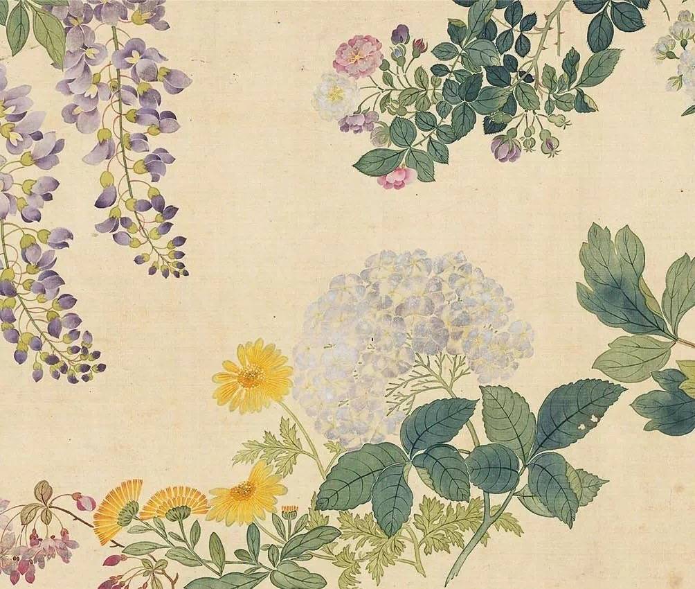 邹一桂 清《百花图卷》_高清图集_新浪网