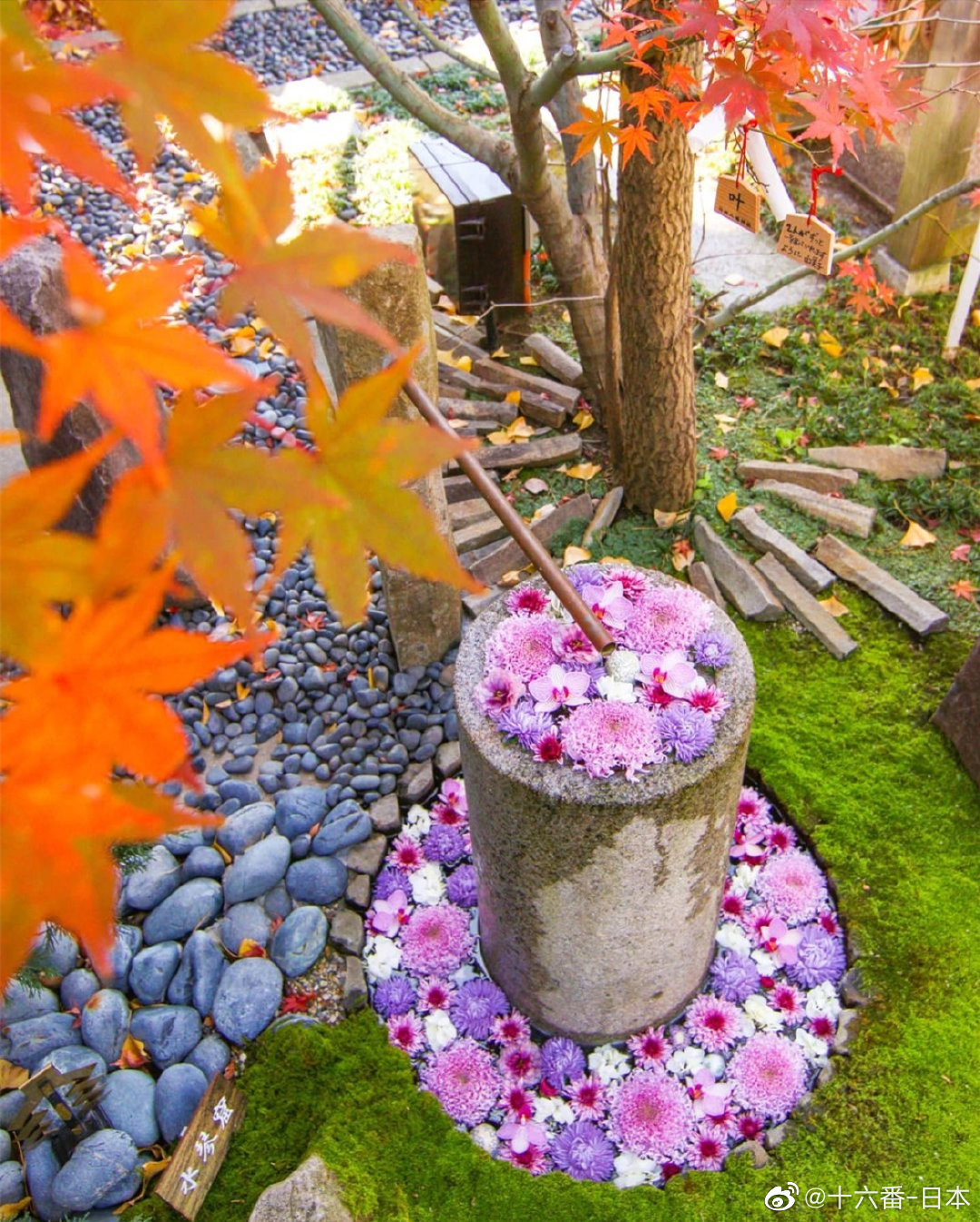 神社 寺庙花手水合集 神社 寺庙花手水合集