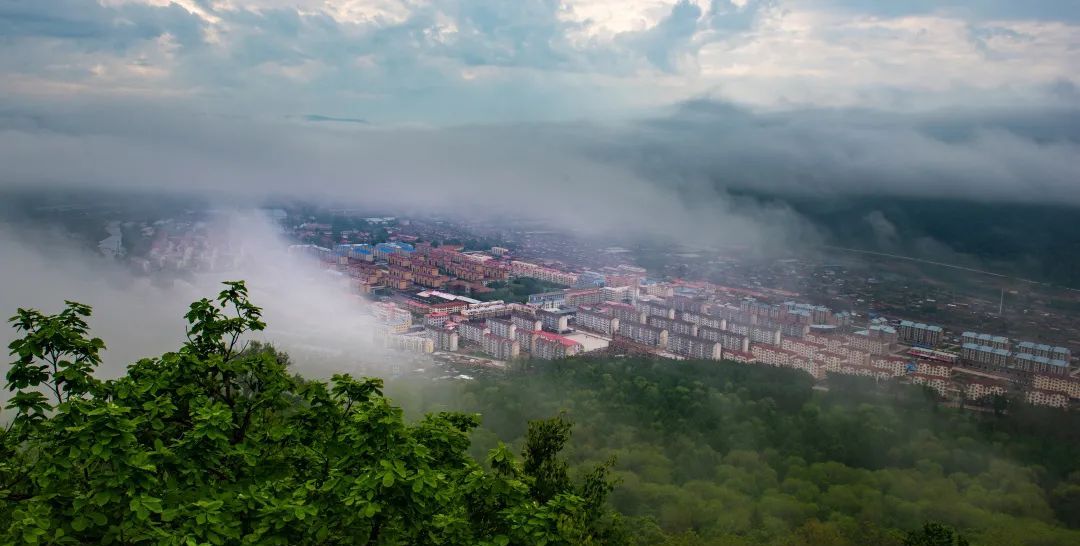 你永远可以相信大箐山的美!|冰雪|万物|冰凌花_新浪新闻