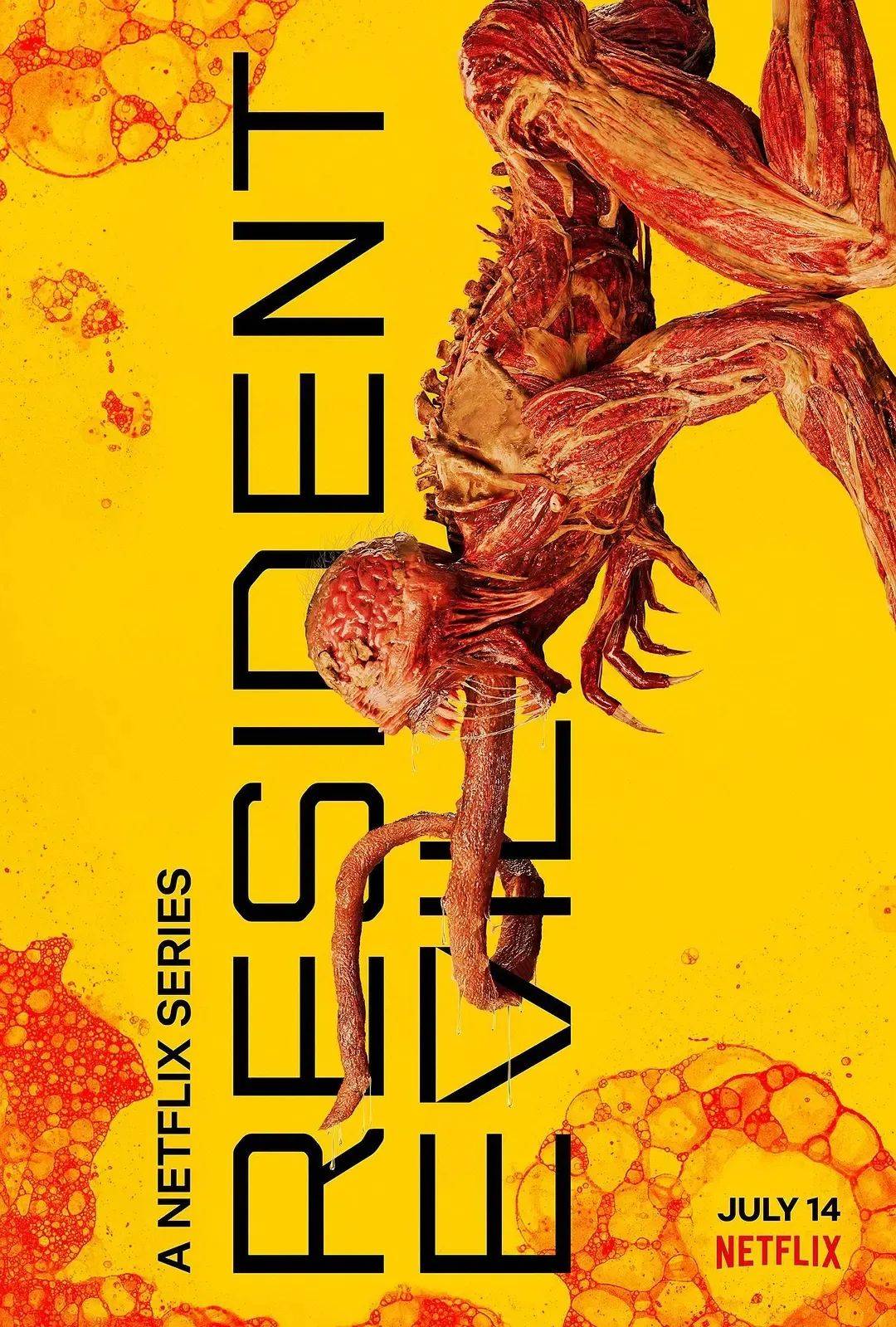 7月新剧，一睹为快！杨紫主演的《沉香如屑》期待值最高休闲区蓝鸢梦想 - Www.slyday.coM