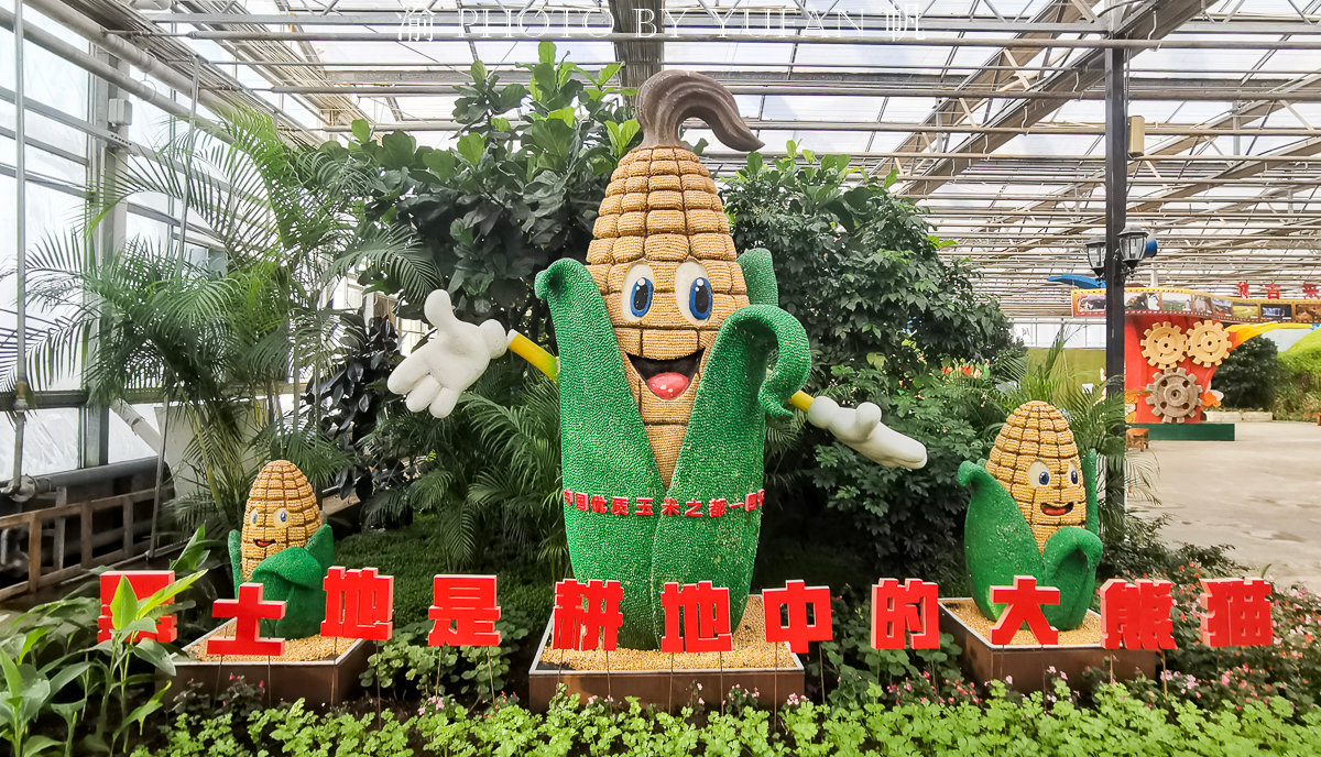 长春不愧是雕塑之城,一粒粒种子也能做出各种雕塑,真是大开眼界