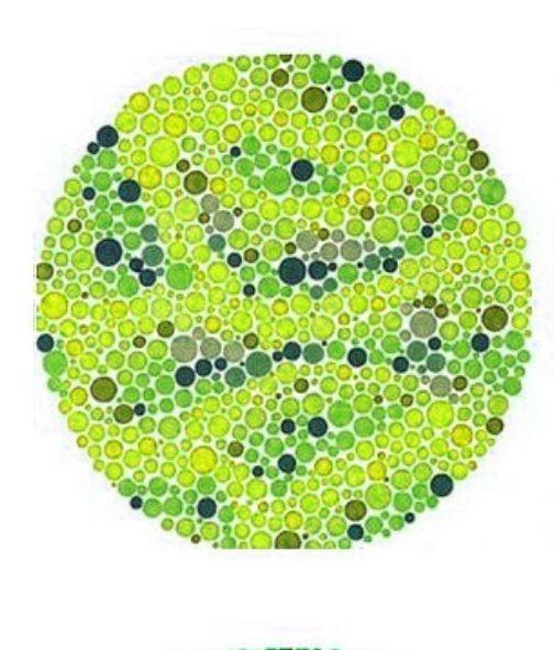 不同的等级不同的测试嘛,我们通常想象的测试色盲色弱这些的,一般都会