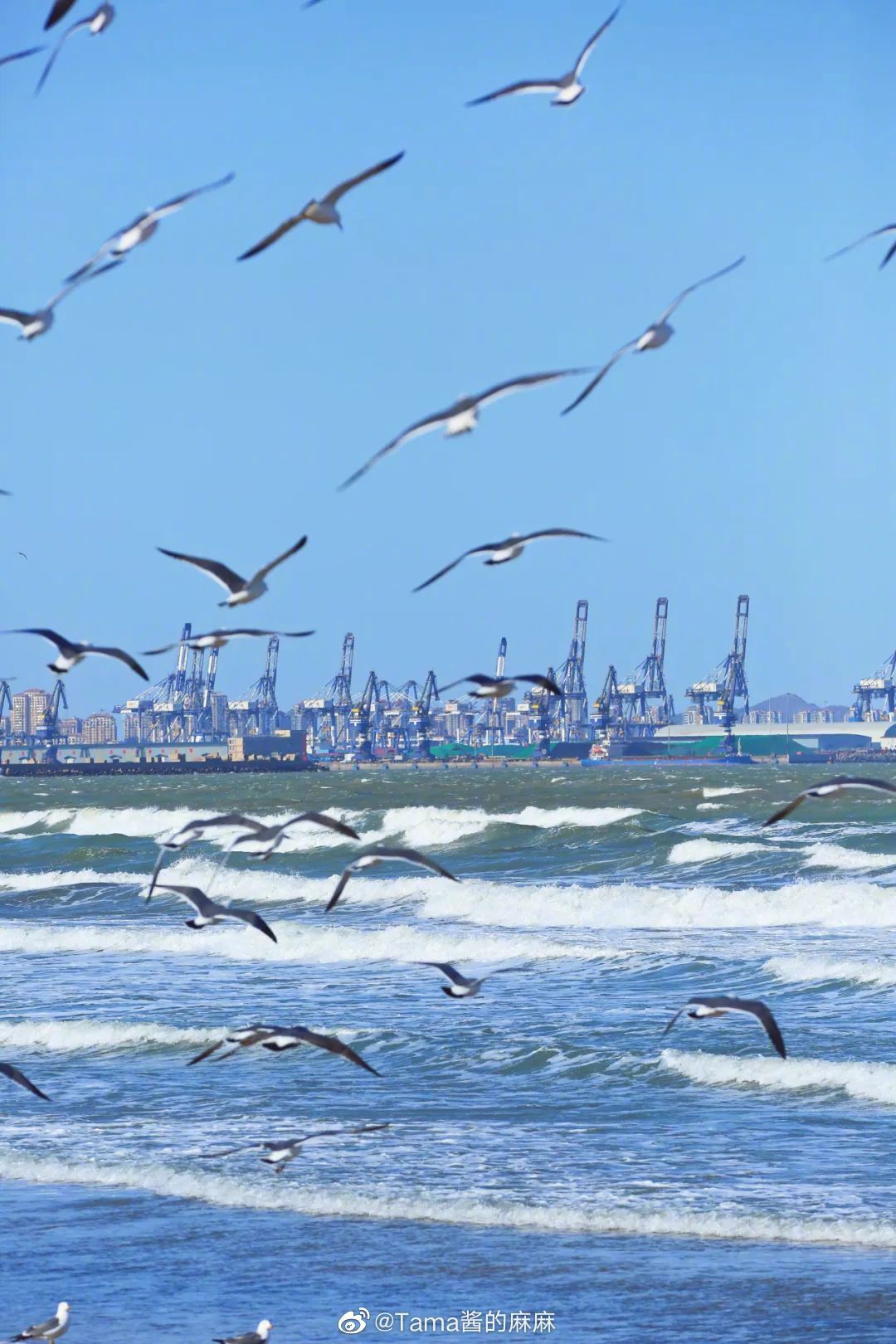 烟台大海在左城市在右