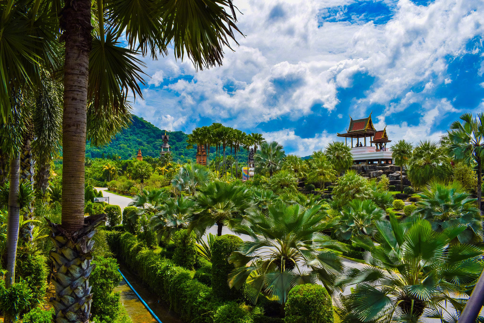 东芭乐园又名侬律花园占地1600余亩