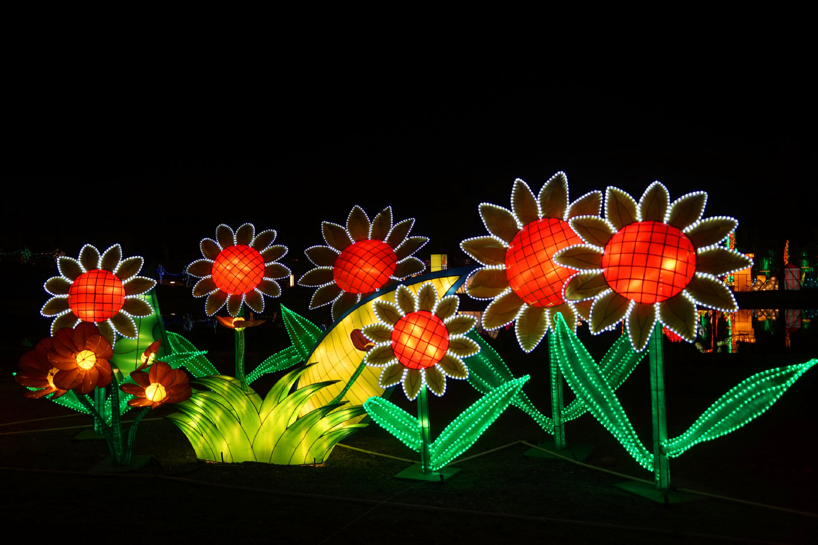 山西晋中龙泽彩灯打造美轮美奂的童话世界