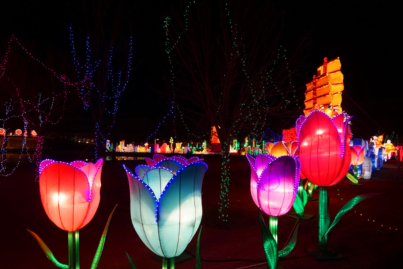 山西晋中龙泽彩灯打造美轮美奂的童话世界