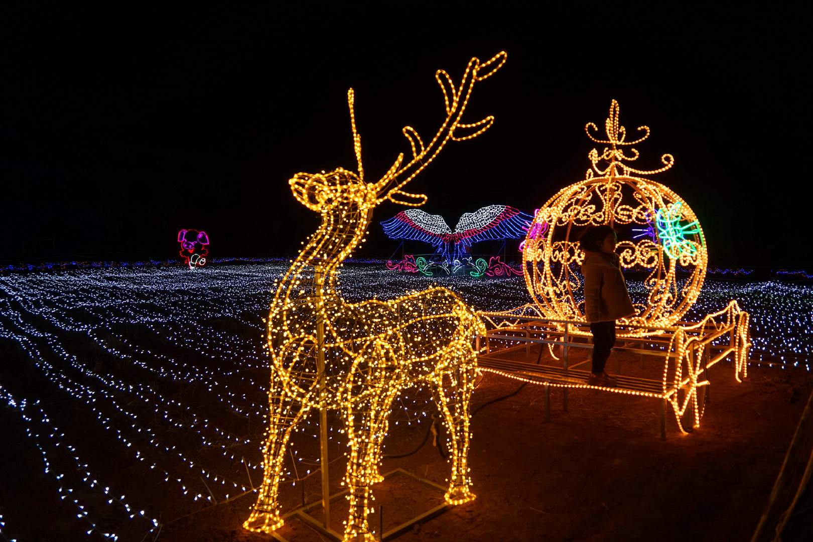 山西晋中龙泽彩灯打造美轮美奂的童话世界