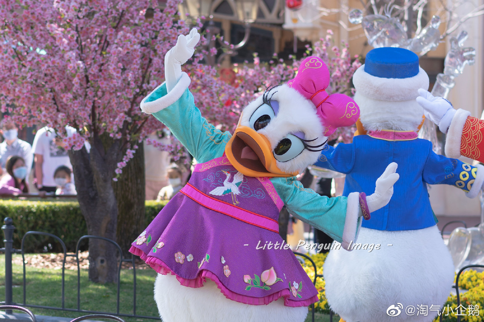 上海摇摆舞的黛西~ 新年黛西真的好活泼,好可爱,好妩媚啊!