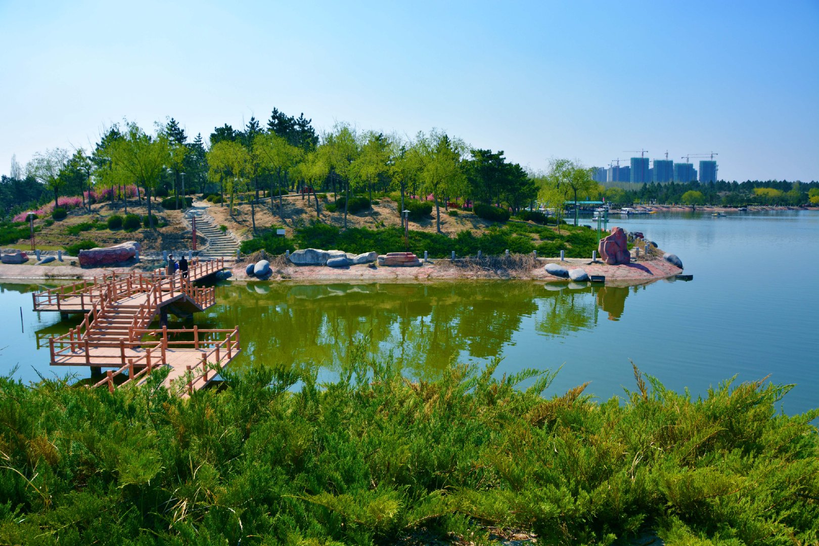 通辽市森林公园风光,原创拍摄_新浪新闻