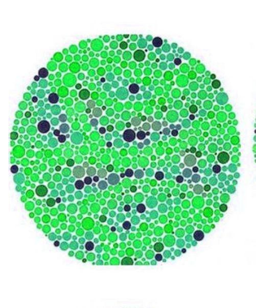 达不到高级别,需要重新考虑要不要学车了|色盲|色盲症|测试_新浪形排