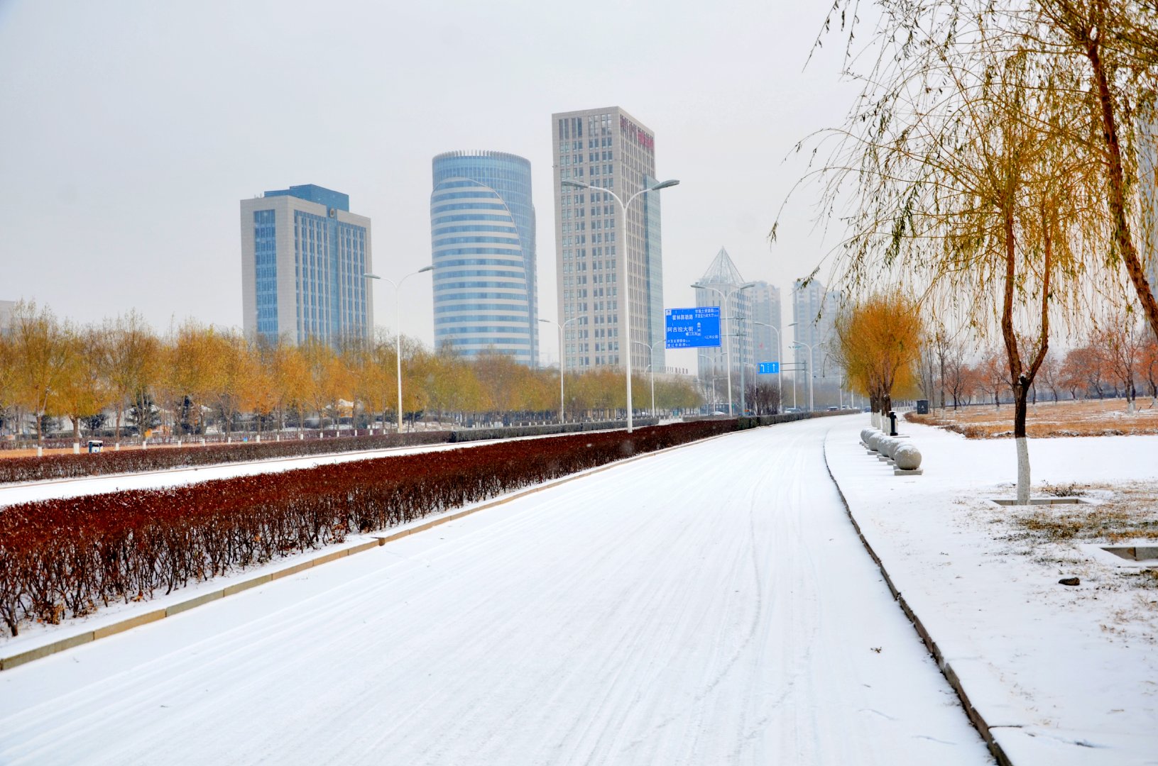 通辽市阿古拉大街四季风光,原创拍摄_新浪新闻