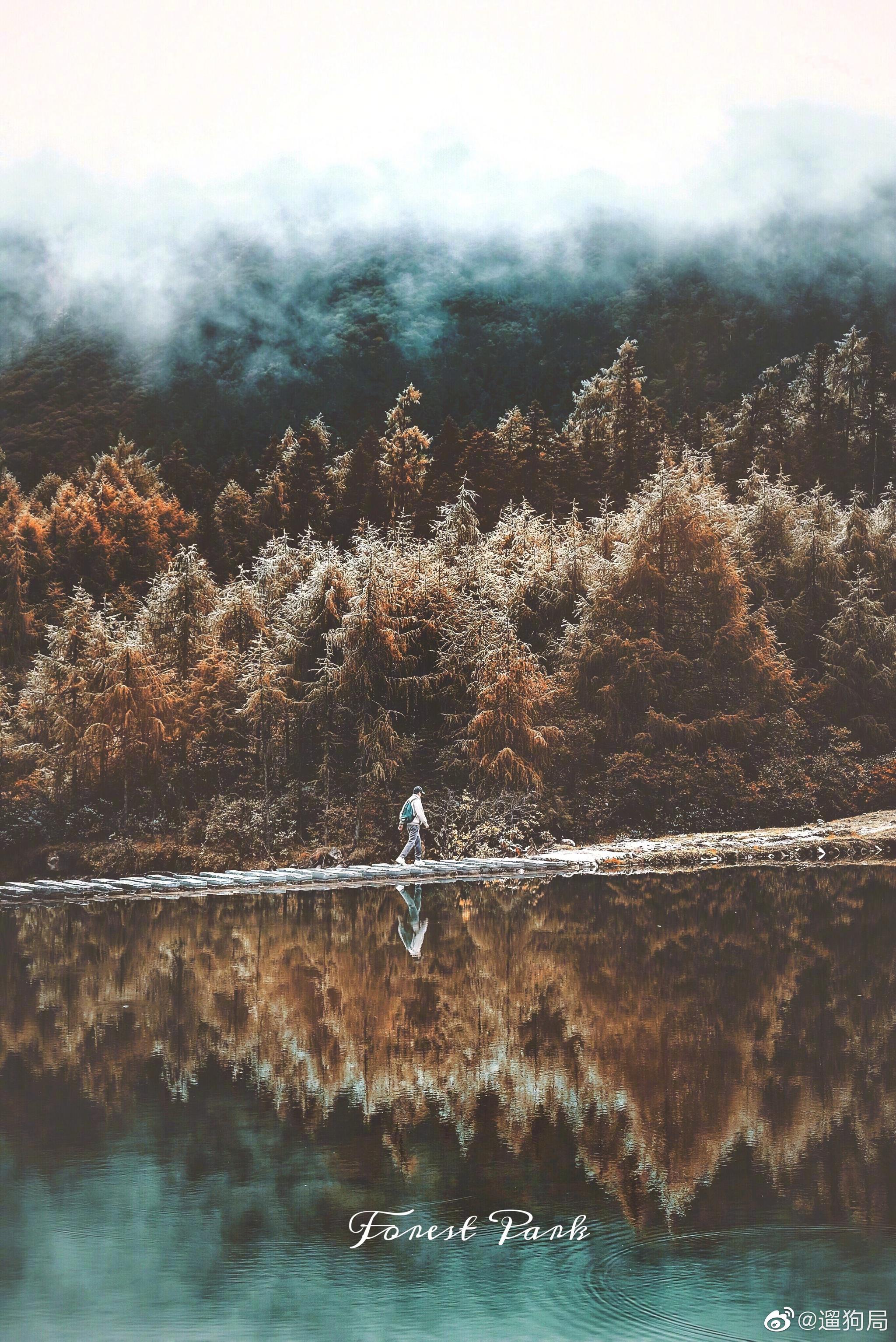 成都|秋季一定来这拍ins童话森林98 这里独有的雪山森林