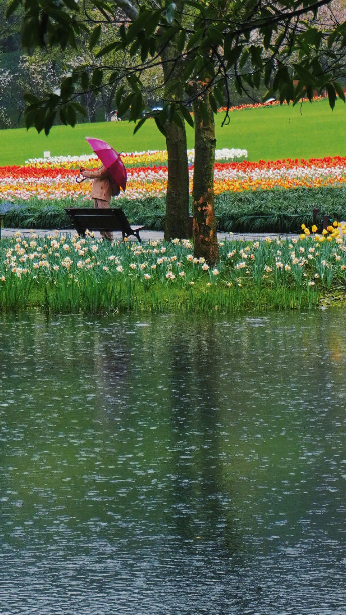 1/ 9下雨天的杭州太子湾公园别有一番风味,像不像