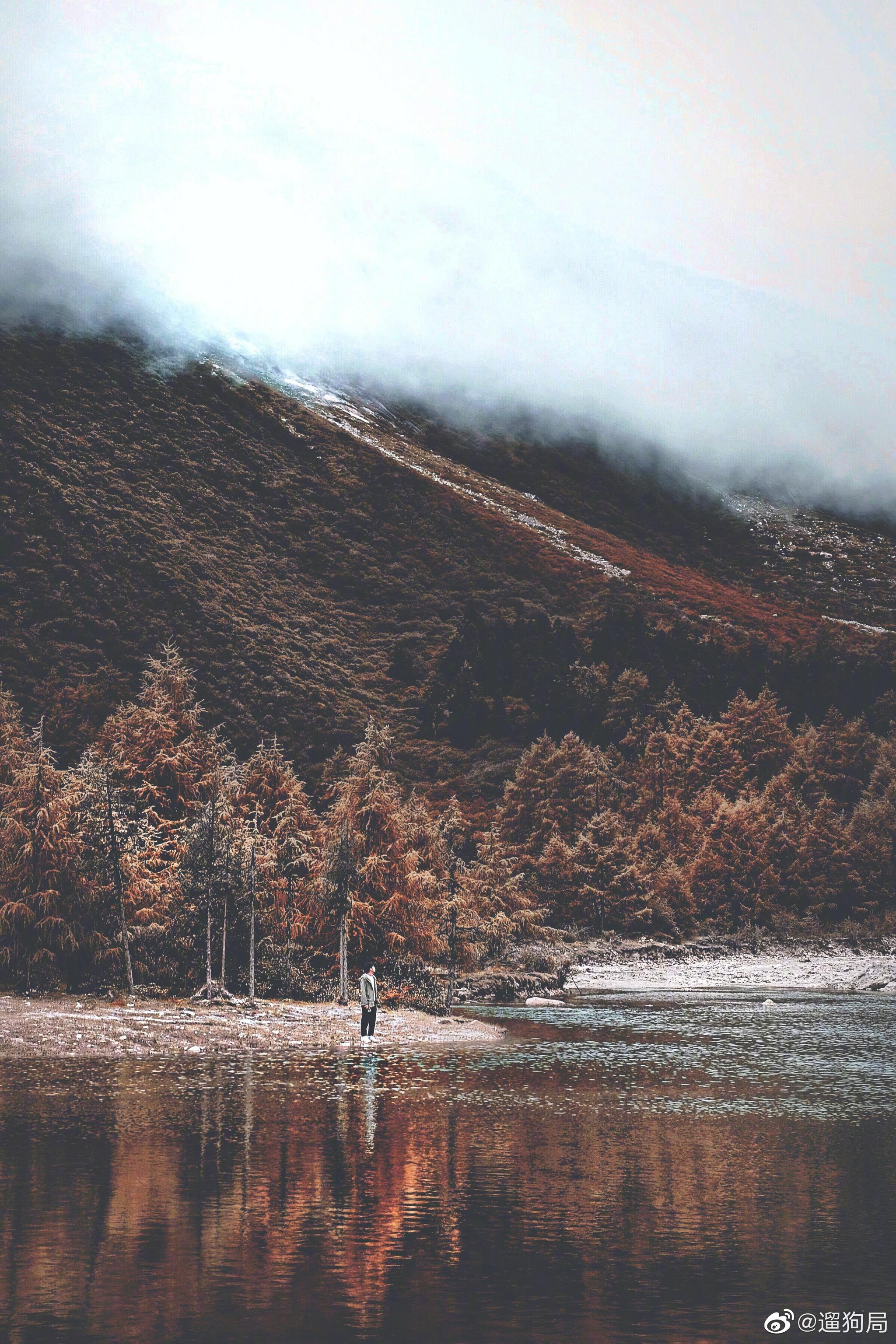 成都|秋季一定来这拍ins童话森林98 这里独有的雪山森林
