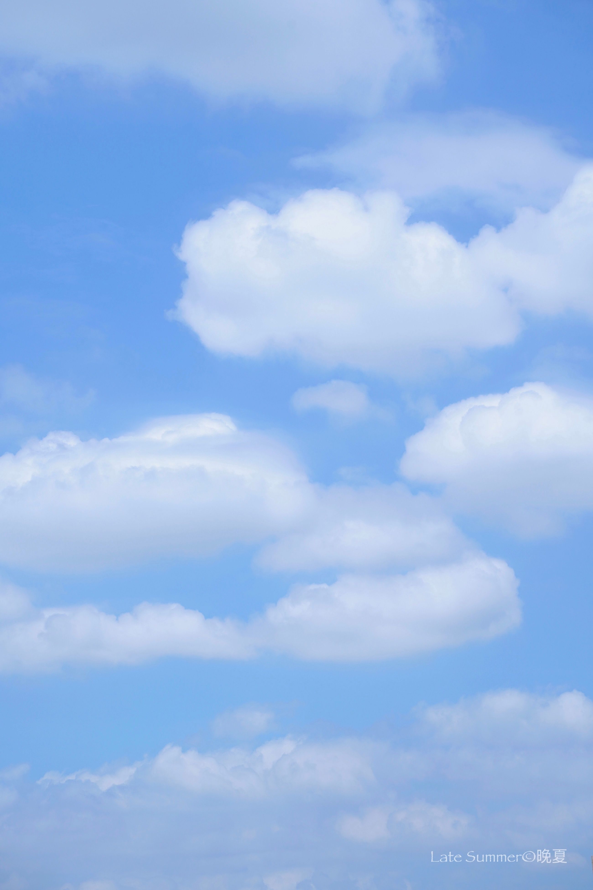 夏天的风是海盐味的浅蓝色