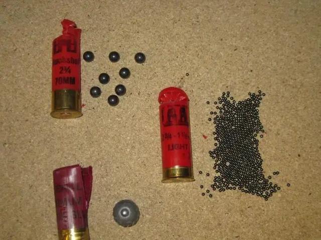近战王者霰弹枪的威力有多大?无需精确瞄准 一打一大片