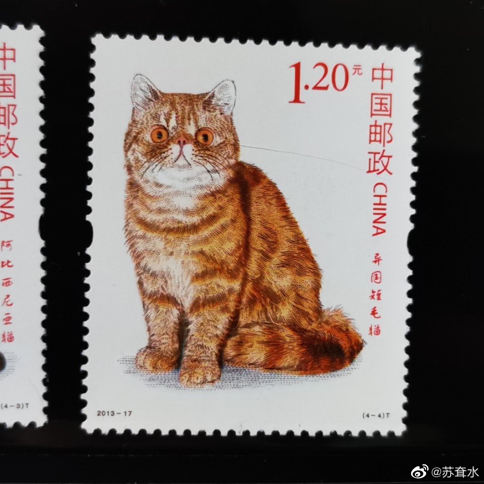 猫 切手 中国人民郵政 1周年記念イベントが