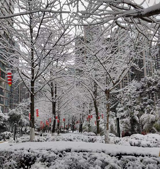 随手一拍都是大片！你的朋友圈办摄影大赛了吗～雪后出行要注意休闲区蓝鸢梦想 - Www.slyday.coM