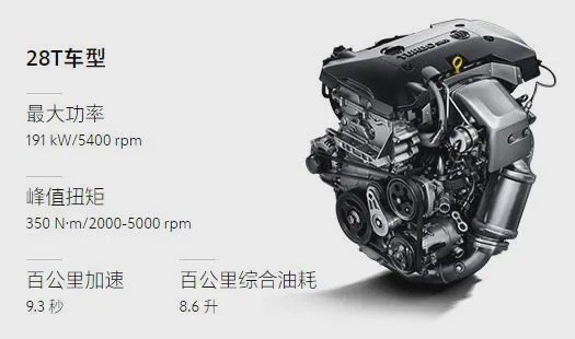 适合才是生存之道！盘点特供车里的优等生