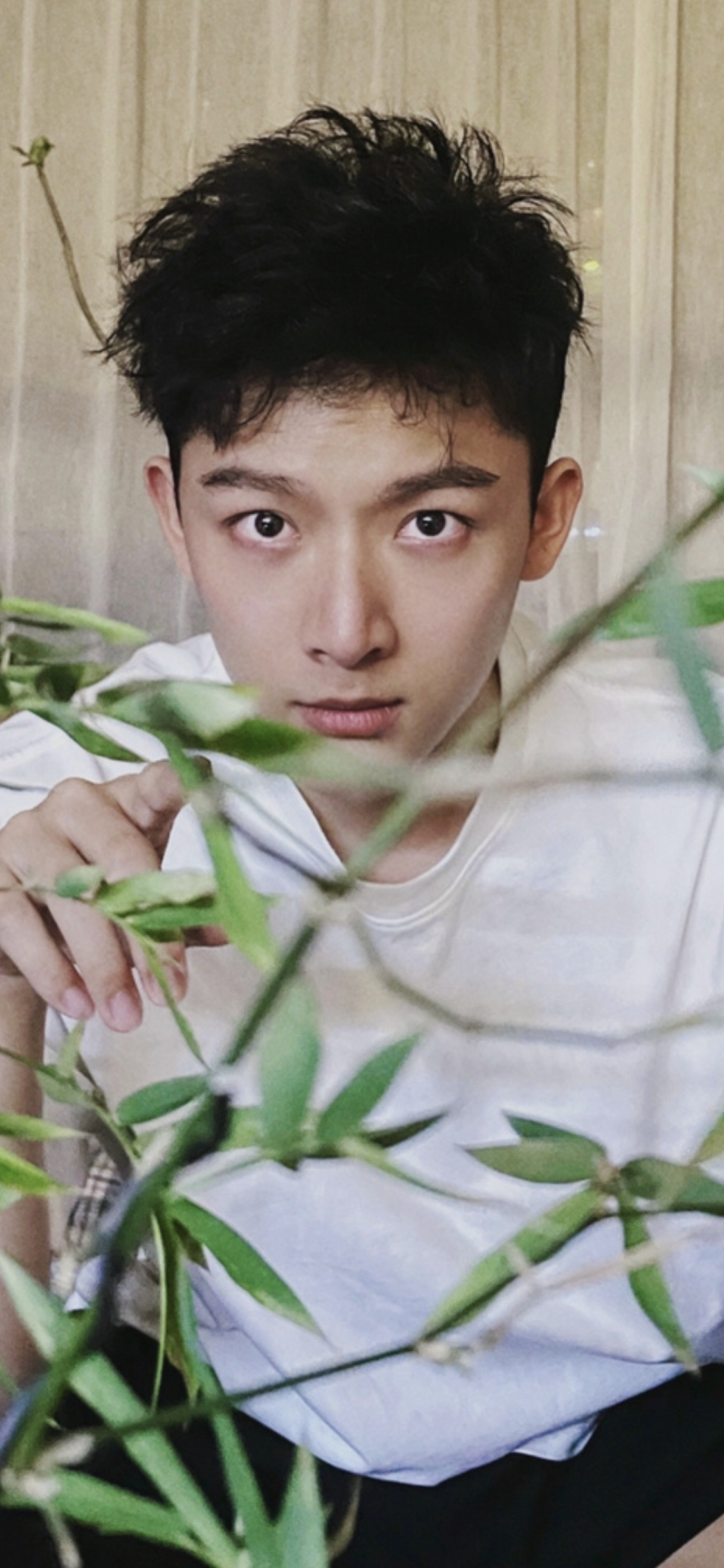 尹昉、白宇帆、张晚意 三大路人好感高,演技派的青年演员