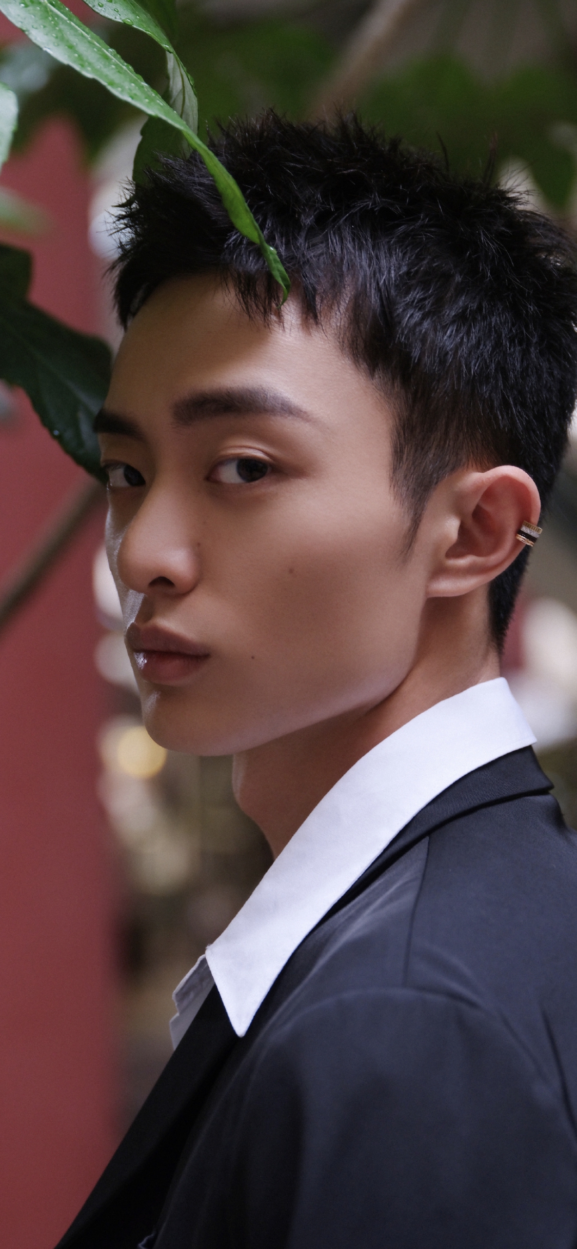 尹昉、白宇帆、张晚意 三大路人好感高,演技派的青年演员