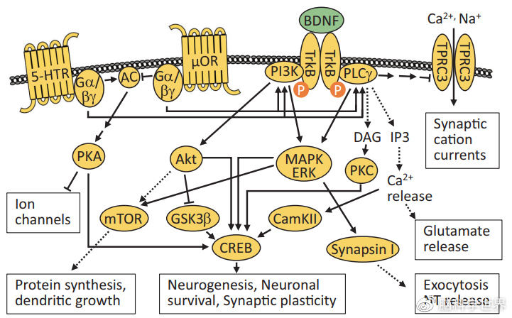 敏感老是反反复复,问了化妆品店的店员就说季节环境和用的东西,都不知道说的是不是真的?