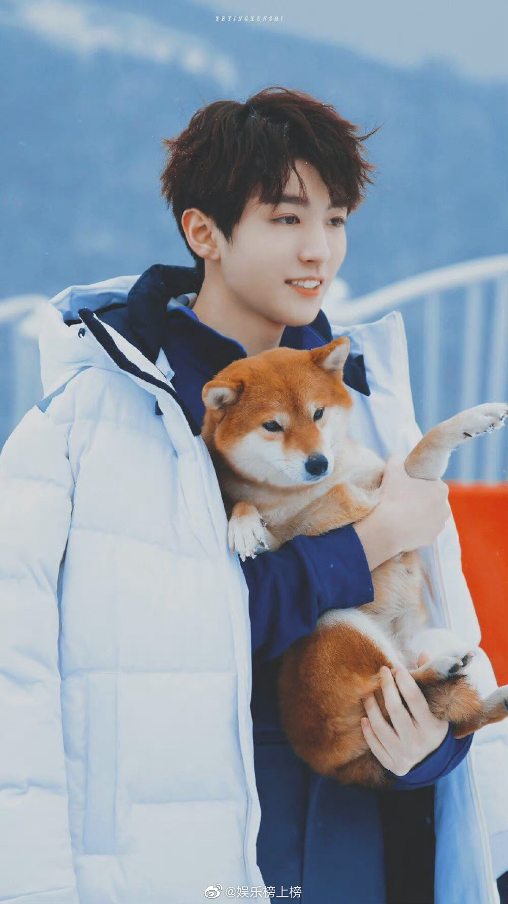 王俊凯一些和小动物相处的瞬间温柔又治愈