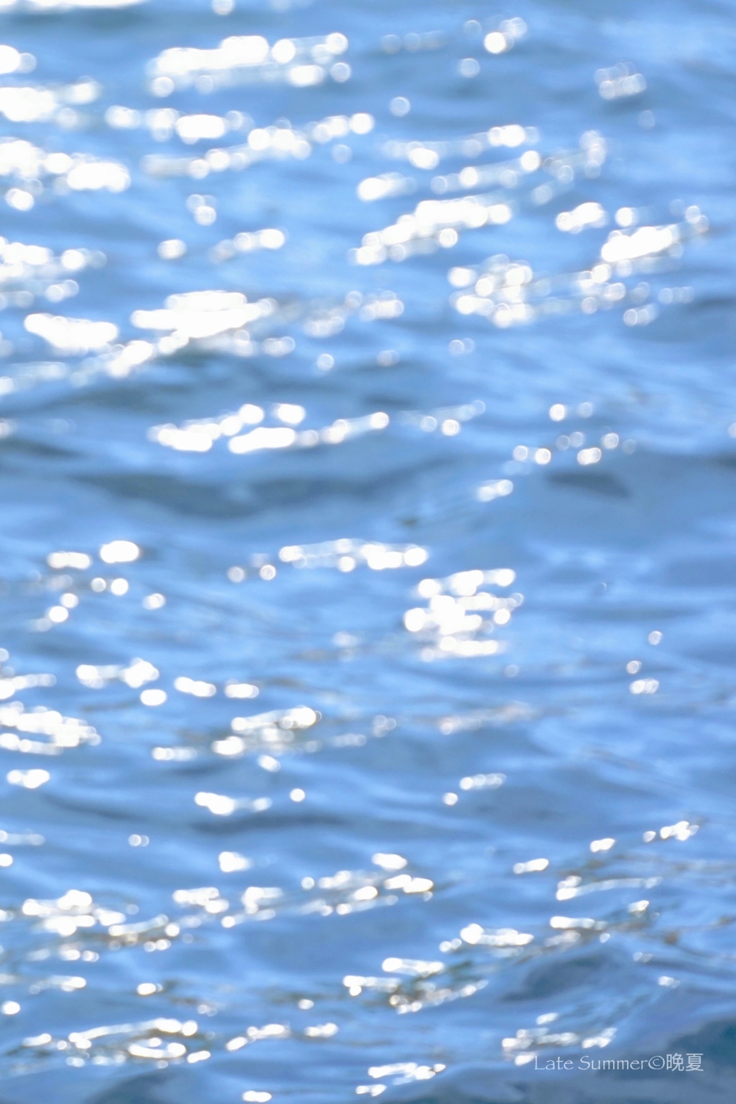 夏天的风是海盐味的浅蓝色