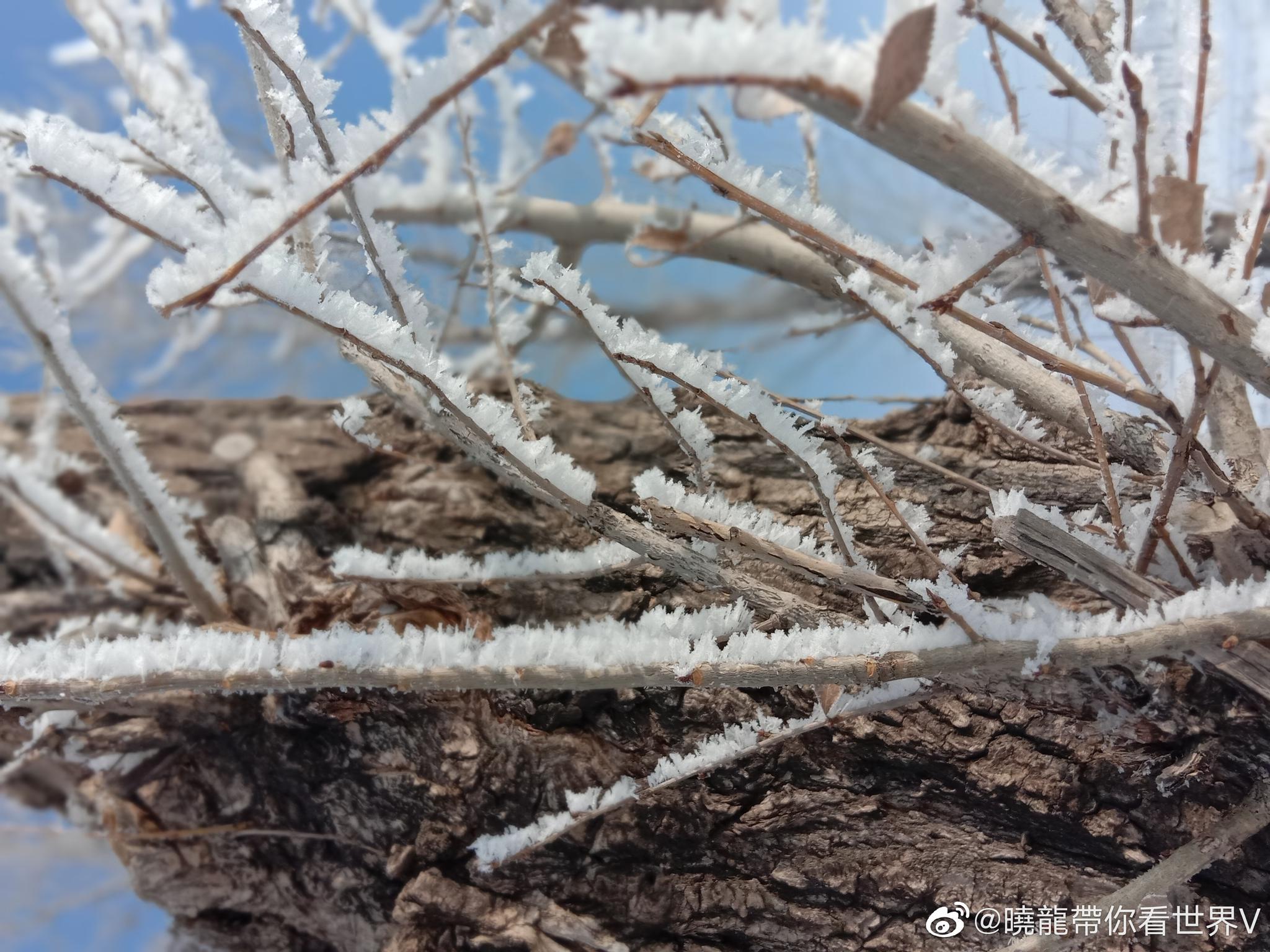 内蒙古呼和浩特下雪了啦 每次回家看见下雪开心呢 虽然比较冷 内蒙古呼和浩特下雪了啦 每次回家看见下雪开心呢 虽然比较冷